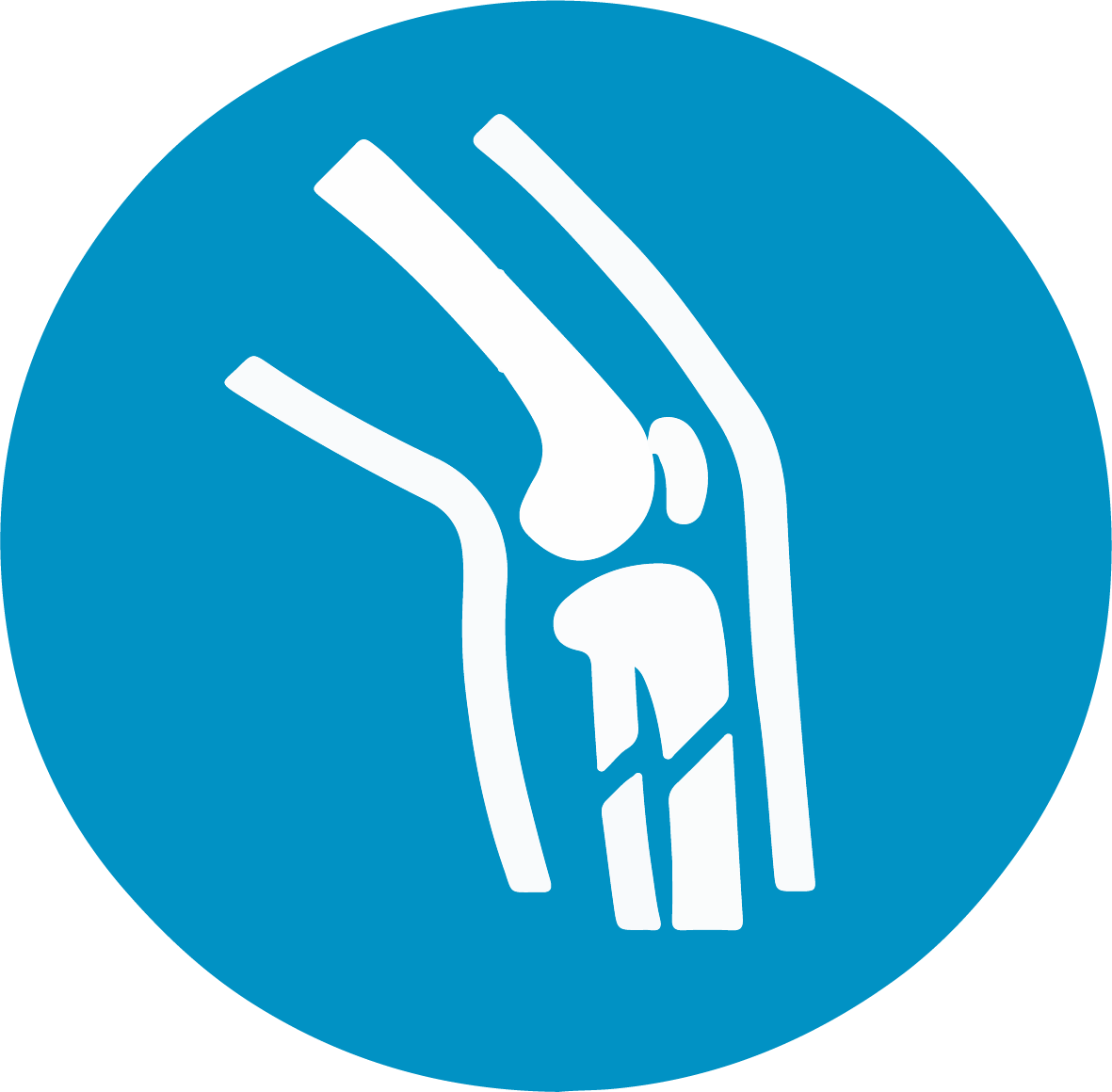 Orthopedic Icon