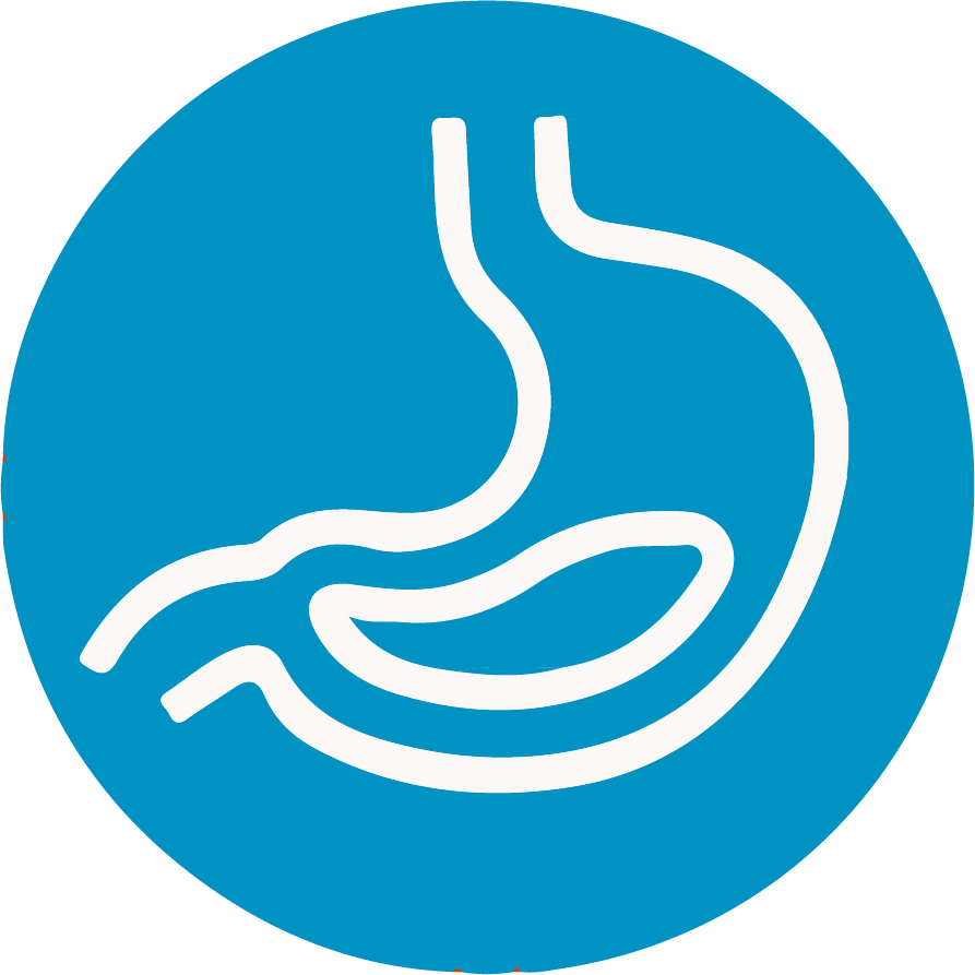 Gastroenterology Icon
